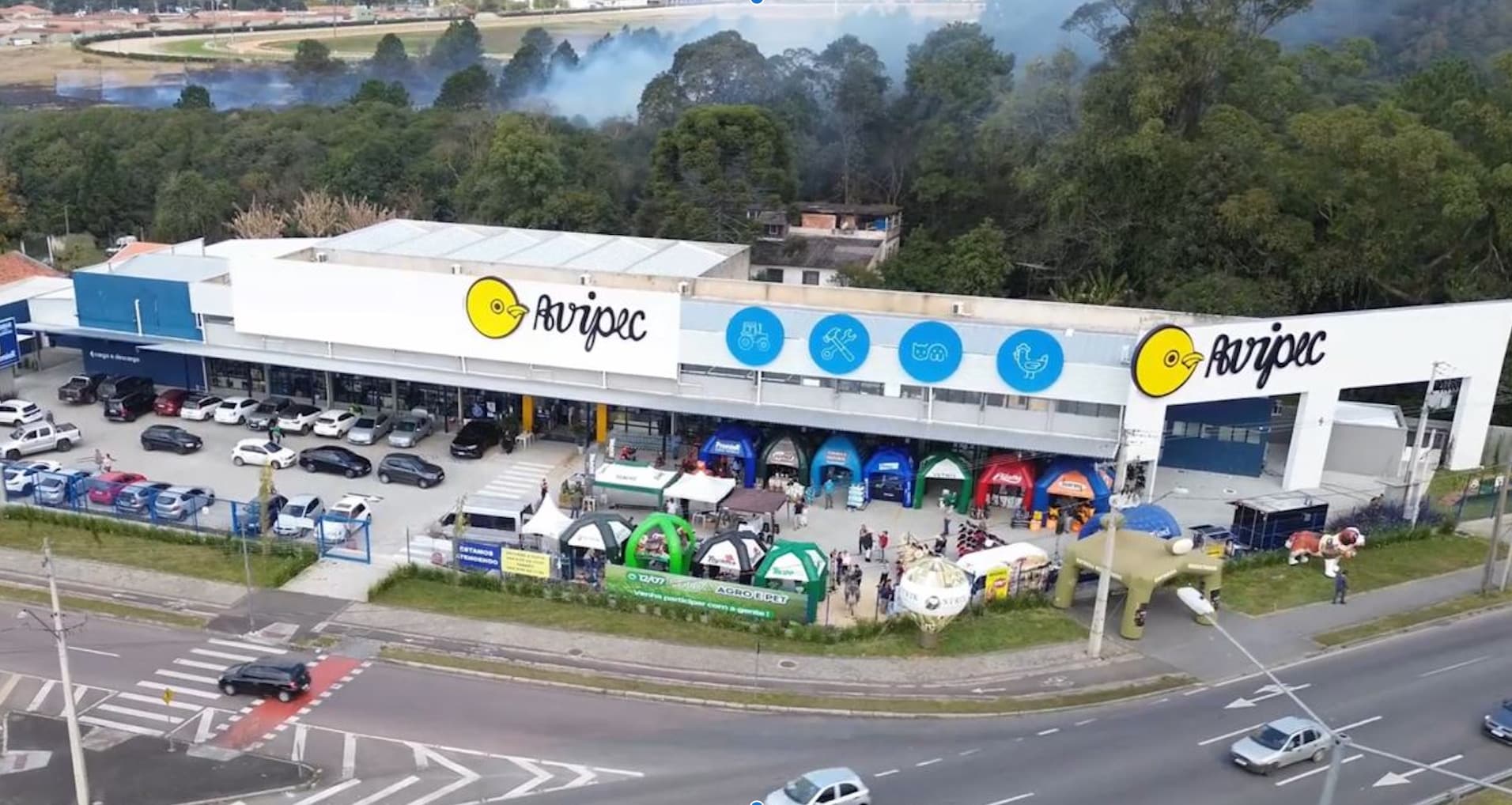 Clínica Clínica Veterinária Avipec em Curitiba