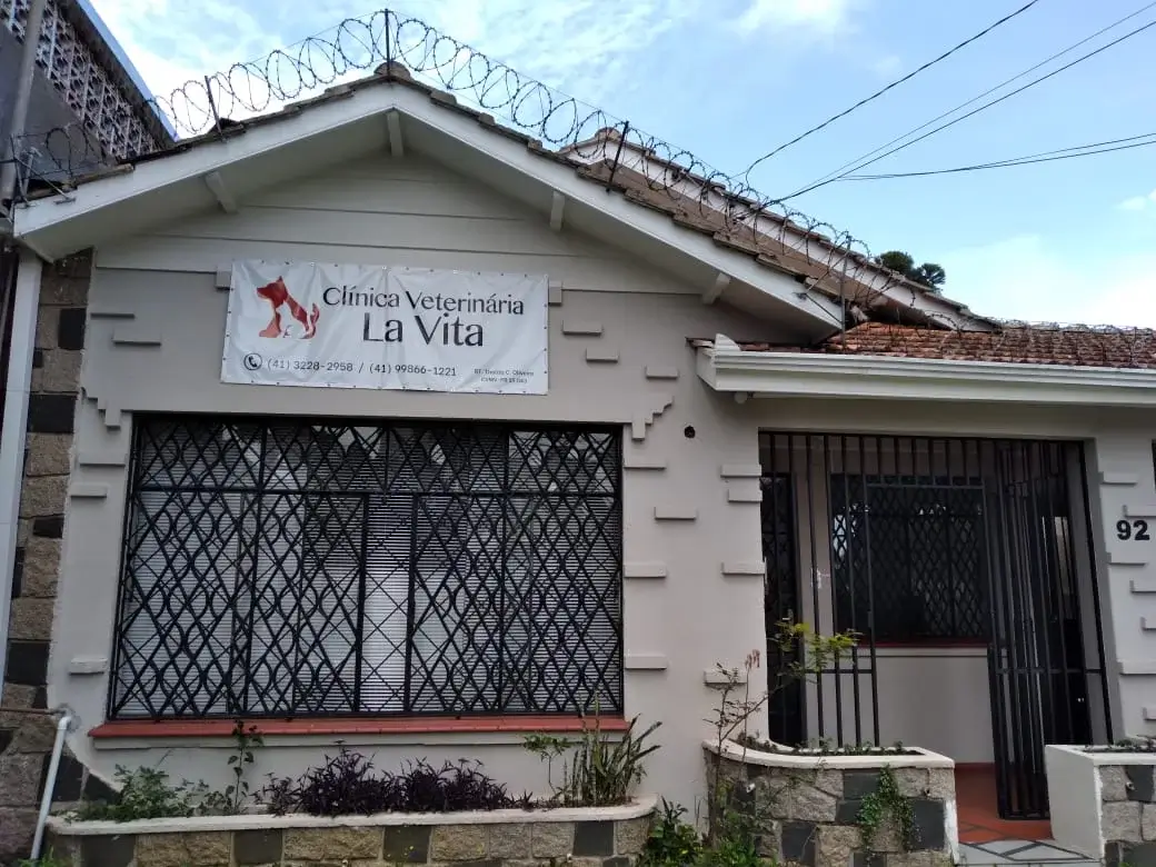 Clínica Clínica Veterinária La Vita em Curitiba