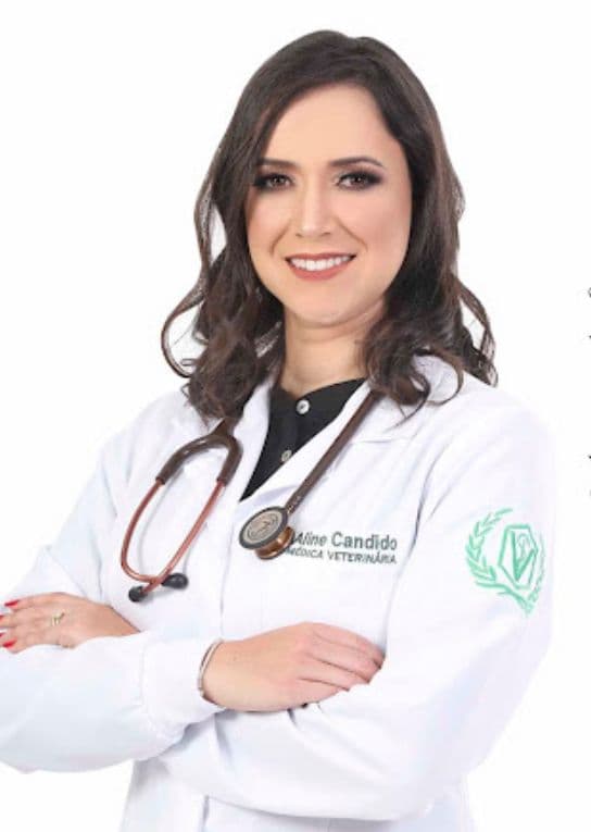 Atendimento Domiciliar Dra. Aline Candido - Atendimento Domiciliar em Sao Jose dos Pinhais