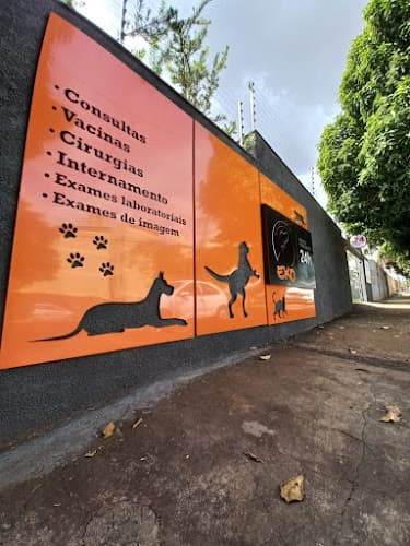 Clínica Eko Clínica Veterinária 24h em Londrina