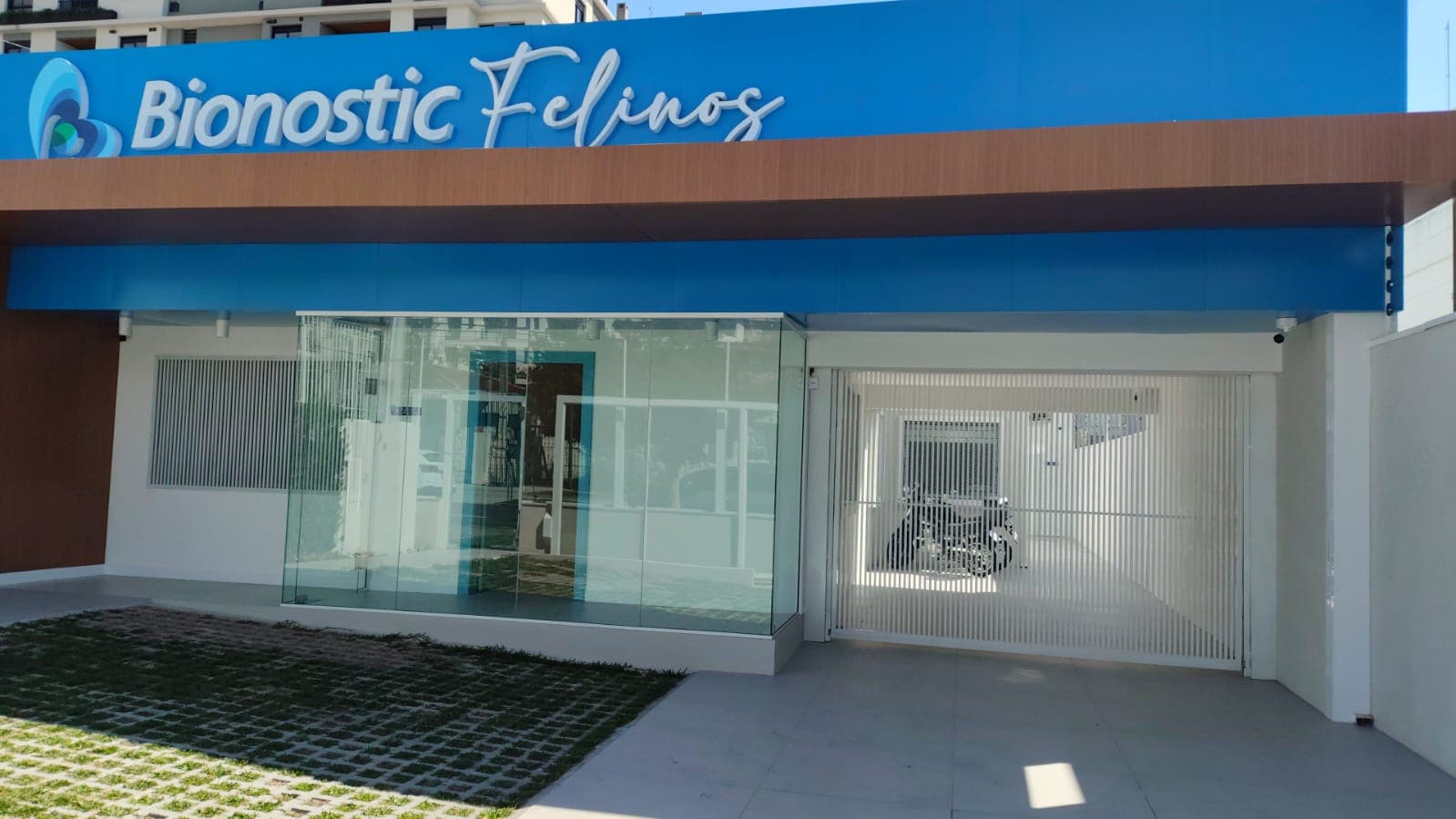 Laboratório Bionóstic Felinos Laboratório Veterinário em Curitiba