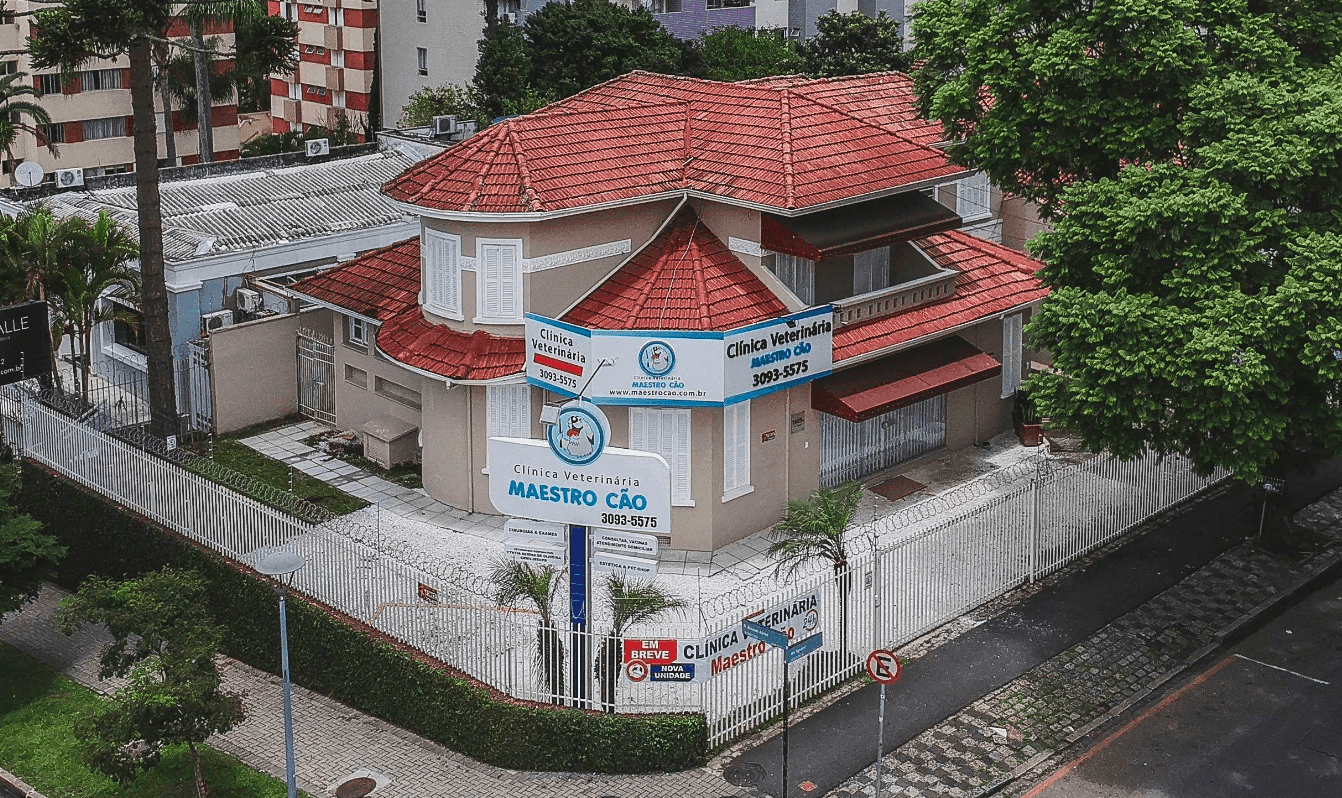 Clínica Clínica Veterinária Maestro Cão - Unidade Água Verde 24h em Curitiba