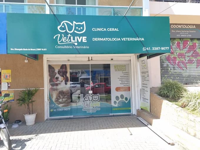 Especialista Vet Live Consultório Veterinário em Curitiba