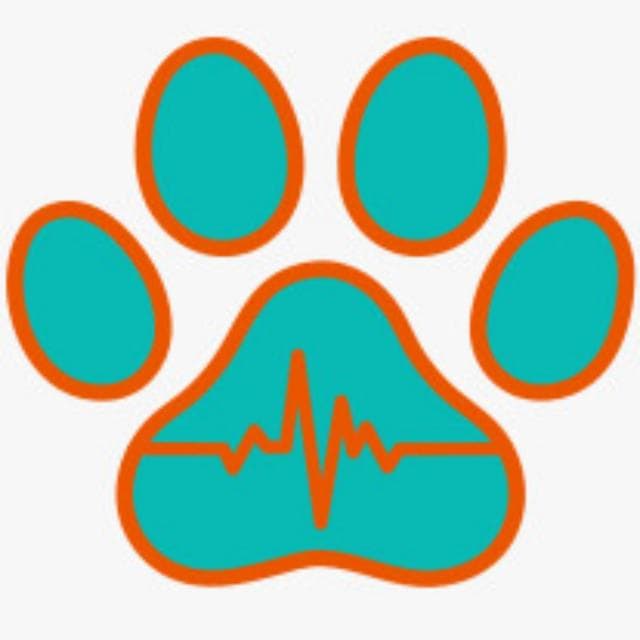 Atendimento Domiciliar Vet Vitality - Atendimento Domiciliar em Curitiba